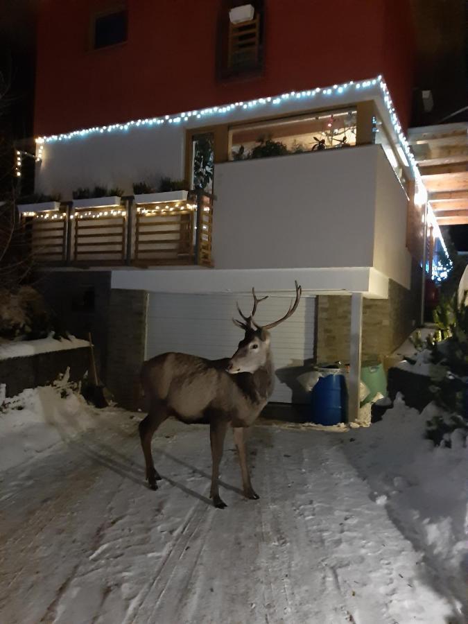 Vila Anna Vysoké Tatry Dış mekan fotoğraf