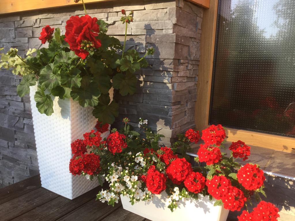 Vila Anna Vysoké Tatry Dış mekan fotoğraf